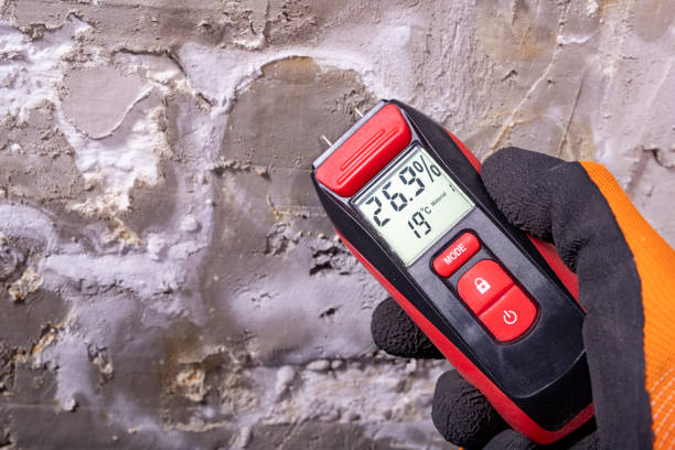 Best DIY Mold Remediation Support Services in Young Harris, GA