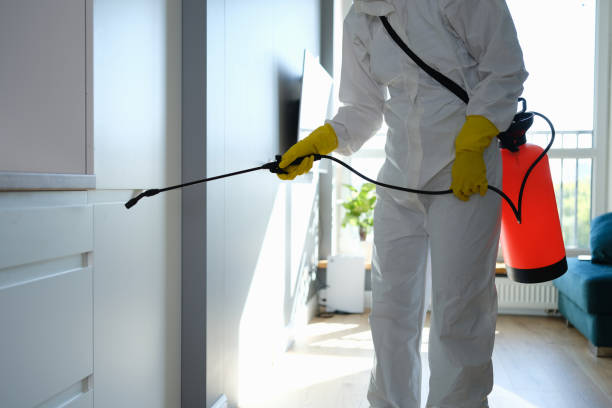 Best Post-Remediation Services in Young Harris, GA